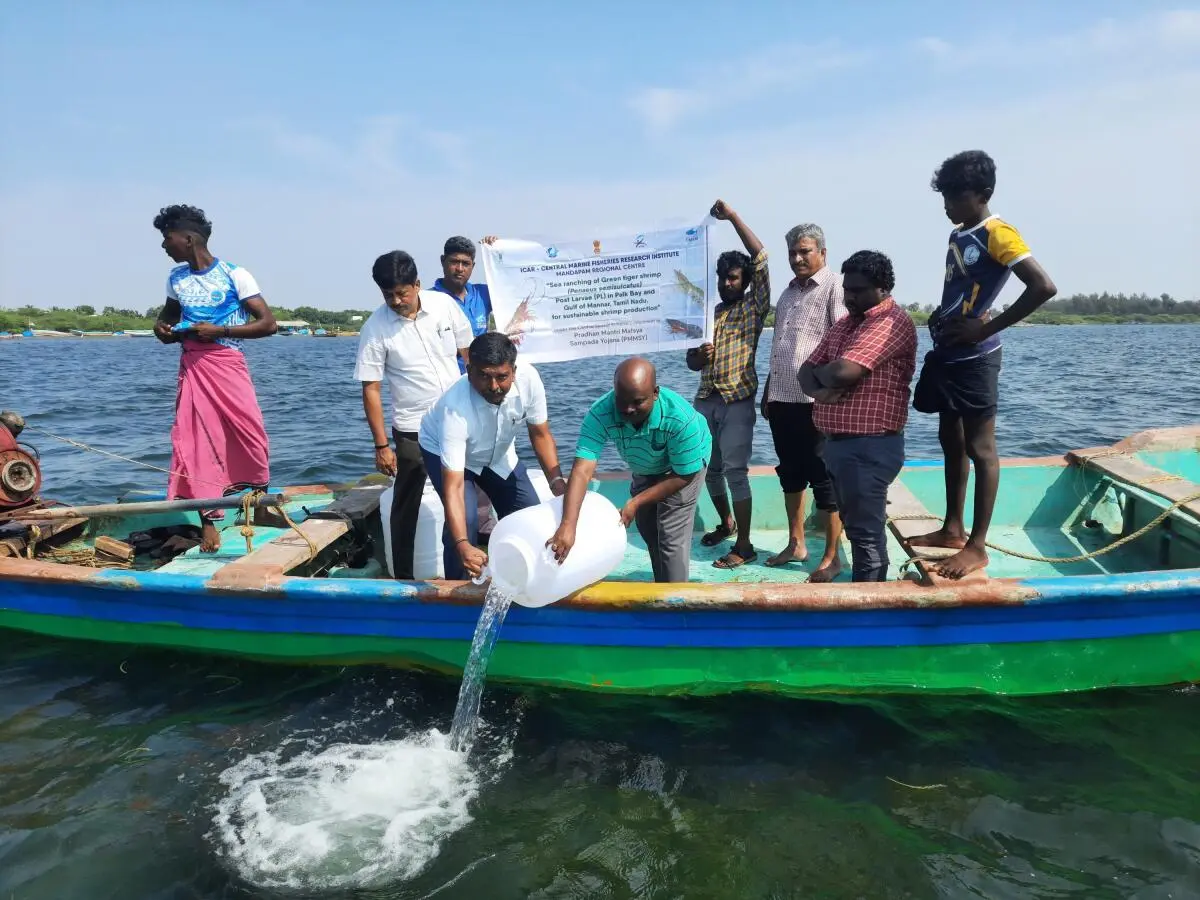 Ongoing Tensions Between Tamil Fishermen and Sri Lankan Navy Reflect